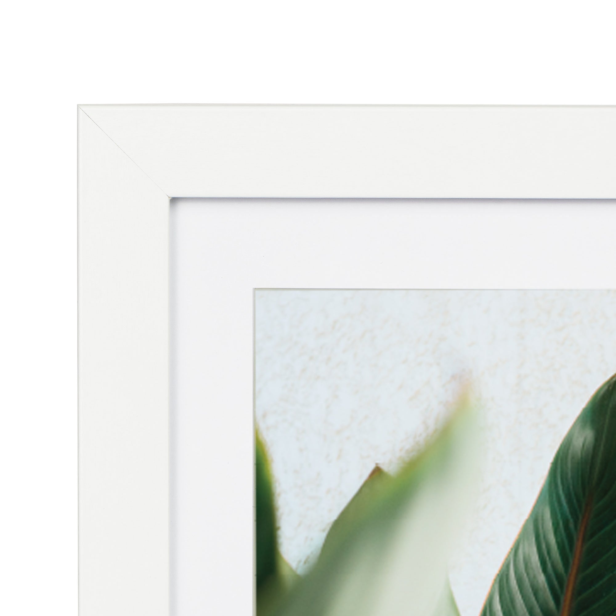 Set Of 4 20x25cm Mat to 13x18cm Premium Paradise Wooden Photo Frame