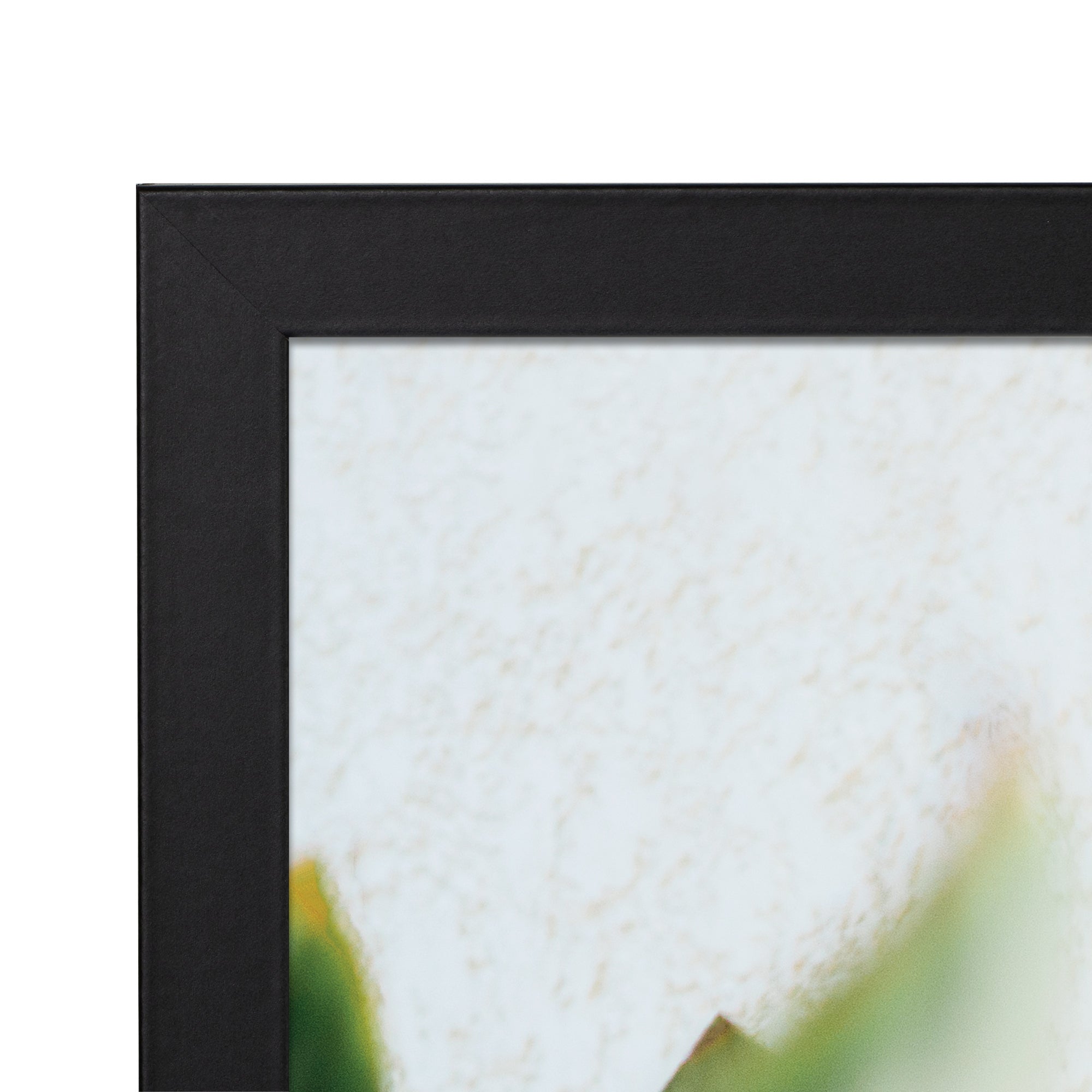 Set Of 2 A3 Premium Paradise Wooden Photo Frame