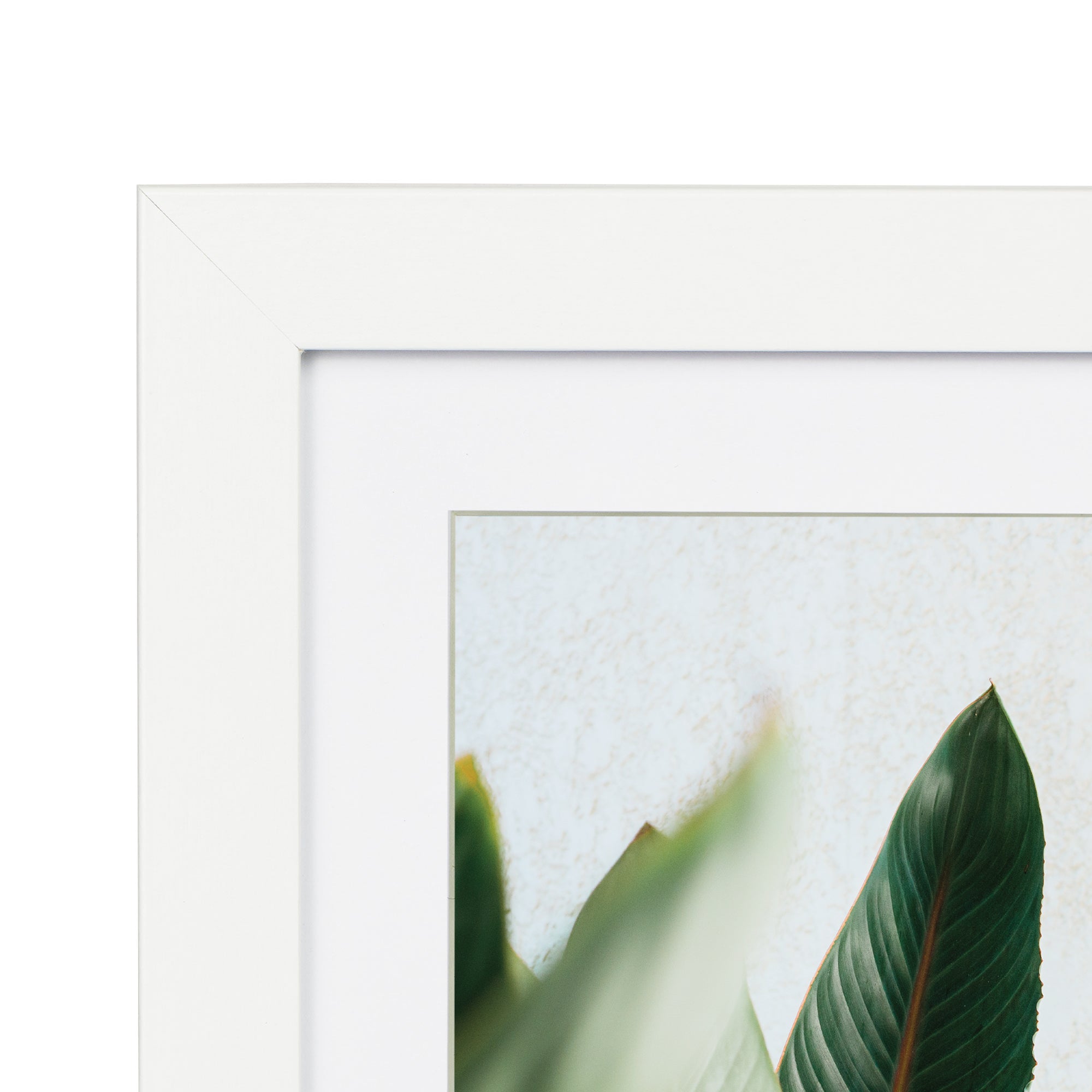 60x90cm Mat to 50x70cm Premium Paradise Wooden Photo Frame