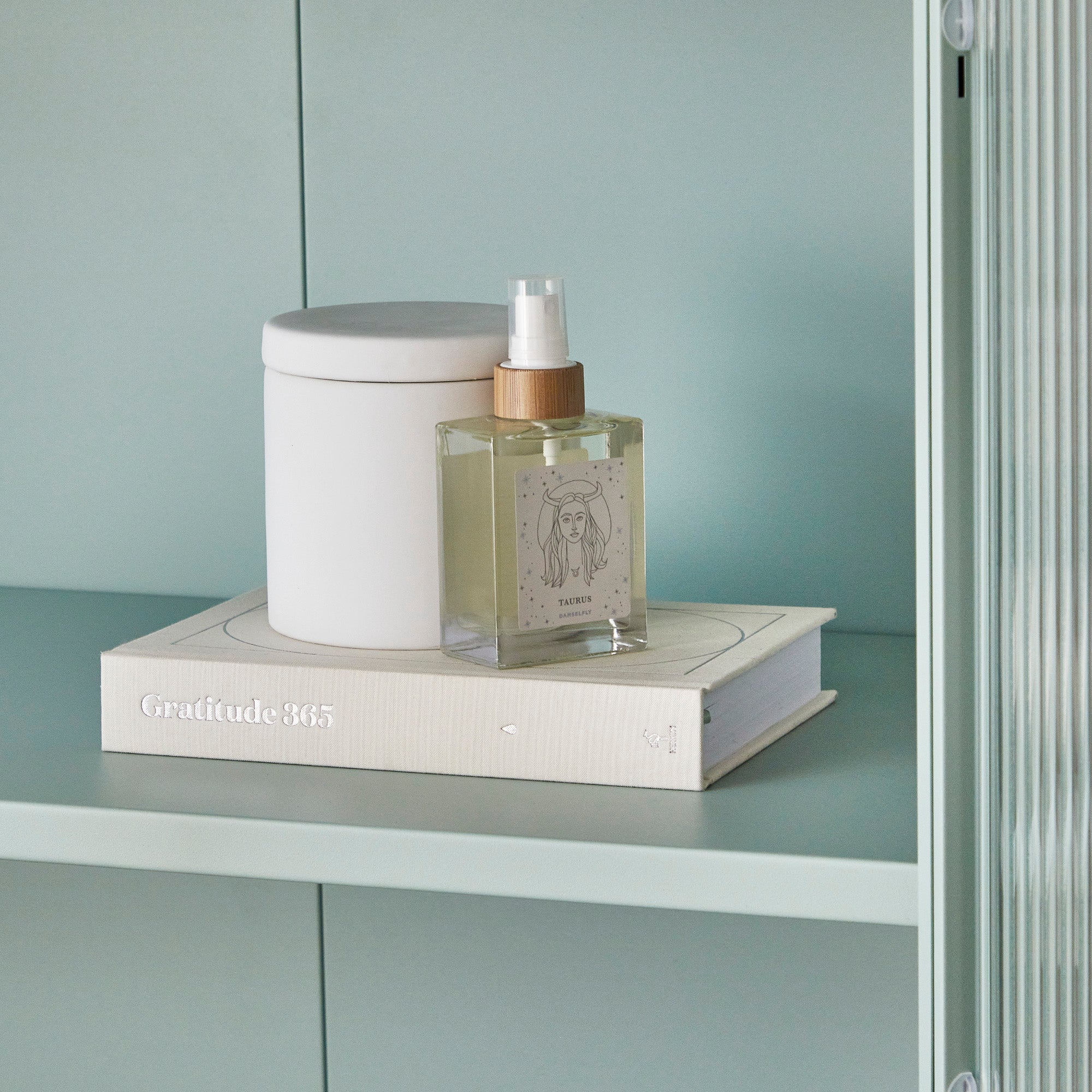 Ella 2 Door Modern Metal Cupboard
